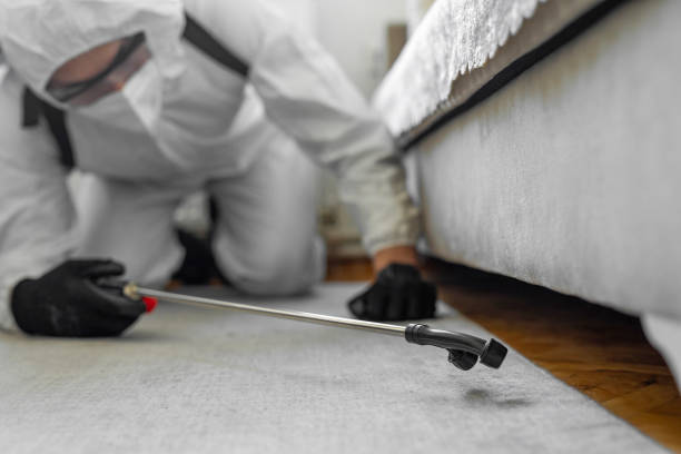 Professional Termite Control technician working in Wheeling, IL